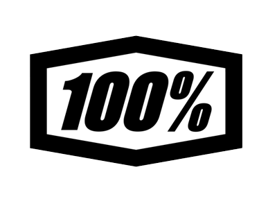 100 Logo